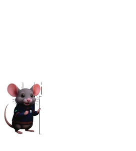 Imunizadora Ribeiro — Controle de Pragas