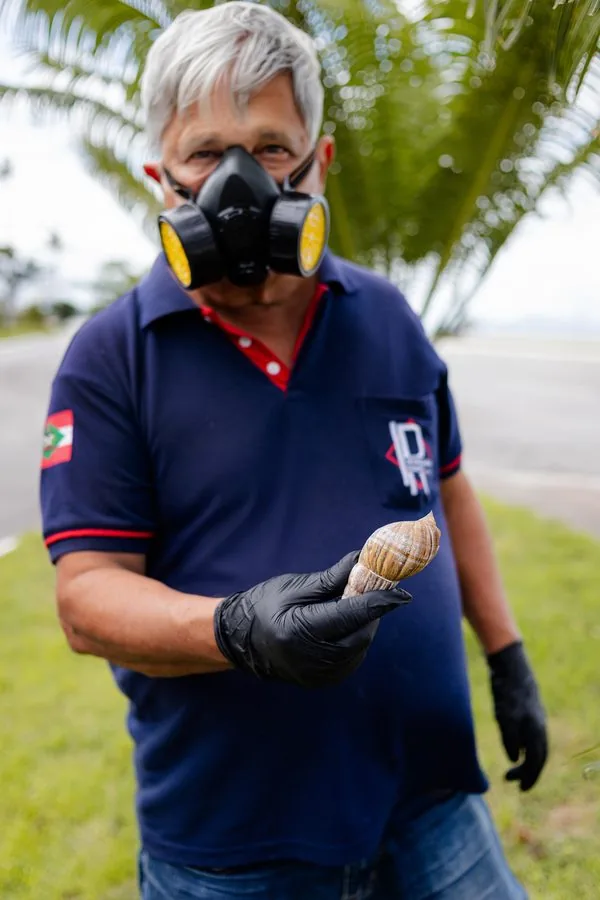 Técnico segurando caramujo-africano